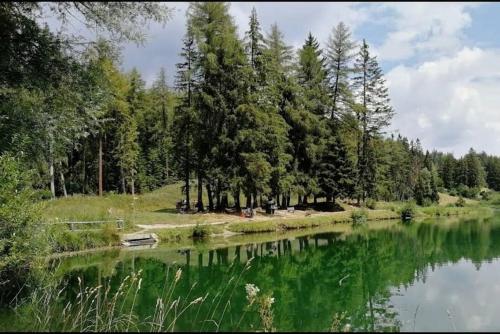 a body of water with trees and a river w obiekcie Charmant appartement balcon et parking w mieście Lens