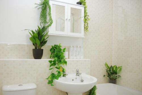 a bathroom with a sink and plants on the wall at Admirals House - Cosy house in quiet cul-de-sac in Gaywood