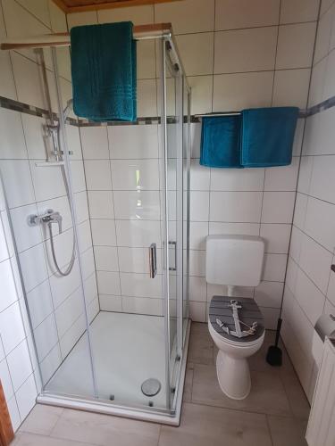 a bathroom with a shower and a toilet at Ferienhaus Weitblick in Busenwurth