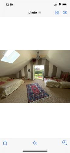 um quarto no sótão com uma cama e uma janela em L‘Embellie em Moussey