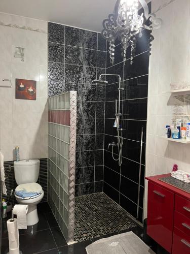 a bathroom with a shower and a toilet at Villa Guadeloupe standing in Le Moule