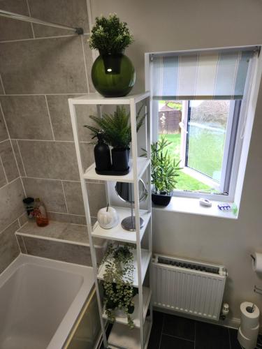 a white shelf with plants on it next to a bath tub at Glamshouse in Bushbury