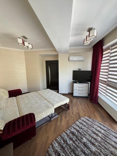 a hotel room with two beds and a television at Dendrarium Park Apartament in Chişinău