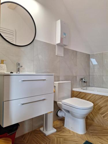 a bathroom with a toilet and a sink and a mirror at Węgorzewo- Apartamenty nad stawem in Węgorzewo