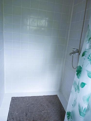 a bathroom with a shower with a shower curtain at Big Mama's Little House Casa da Mãe Grande in Porto Alegre