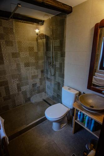 a bathroom with a toilet and a shower and a sink at Căsuța DELDRADA in Câmpulung Moldovenesc
