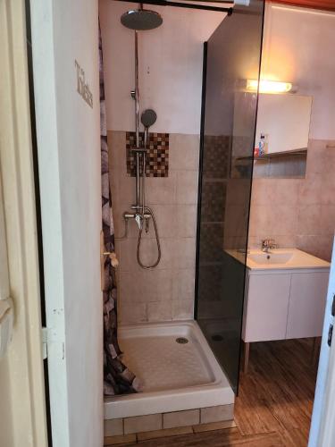 ein Bad mit einer Dusche und einem Waschbecken in der Unterkunft Refuge étape du baroudeur in Le Carbet