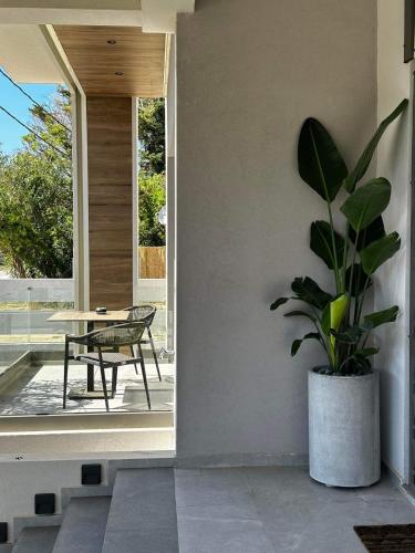 a potted plant sitting on the side of a house at Muses in Kourouta
