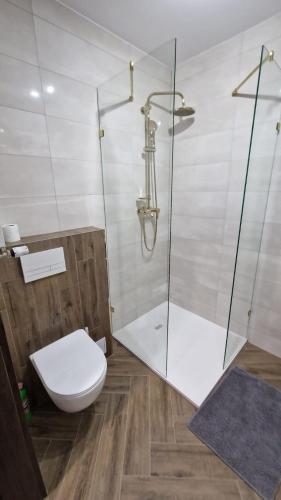 a bathroom with a toilet and a glass shower at APARTAMENT JARACZA 28 nr 18 in Słupsk