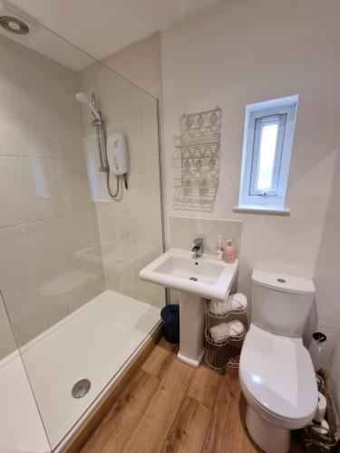 uma casa de banho com um WC, um lavatório e um chuveiro em Glyndwr Vineyard em Cowbridge