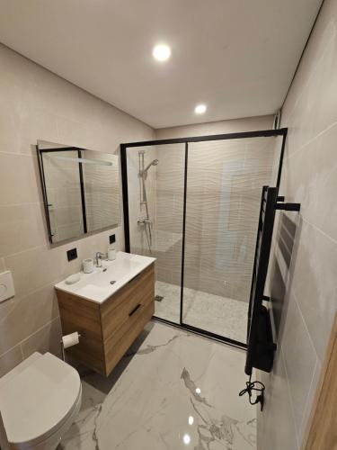 une salle de bain avec toilettes, lavabo et douche dans l'établissement Cannes proximité Palais des Festival et Croisettes, à Cannes