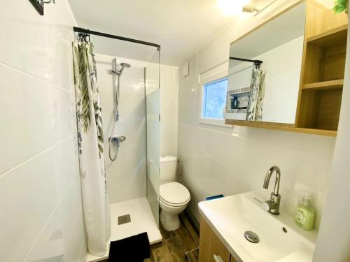 une salle de bain avec une douche, des toilettes et un lavabo dans l'établissement ''Ninou'' Cosy T2 en plein coeur de Sète, à Sète