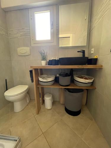 une salle de bain avec un lavabo et des toilettes dans l'établissement Brisa di mare, à Lumio