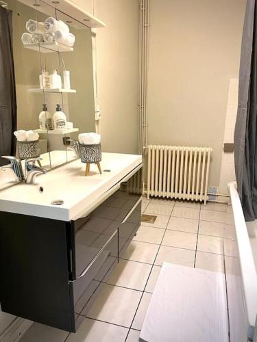 une salle de bain avec un lavabo et un miroir dans l'établissement Appartement 3 chambres proche centre ville, à Carcassonne