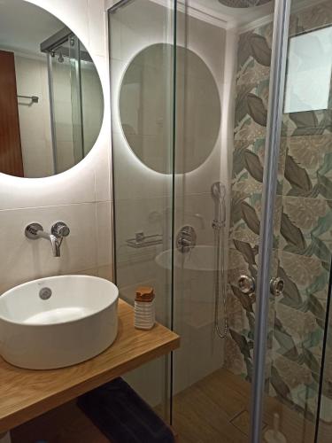a bathroom with a sink and a shower at Panos Apartment in Almyrida