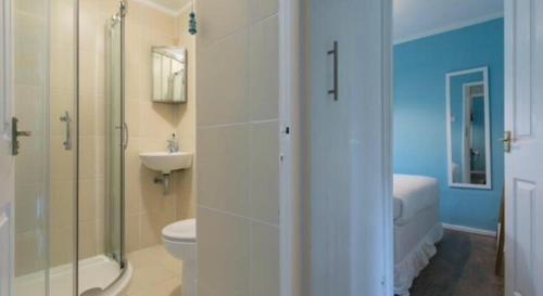 a bathroom with a shower and a toilet and a sink at Rebels Retreat - 2-Bed Chalet nr St Ives & Hayle in St Ives