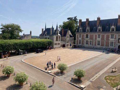 un groupe de personnes debout devant un grand bâtiment dans l'établissement La Loire et ses châteaux avec vos proches, à Blois