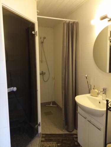 a bathroom with a shower and a sink at Kosken Helmi in Kaustinen