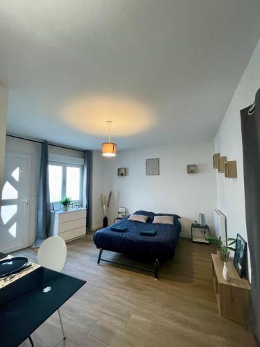 a bedroom with a large bed in a room at Appartement cosy proche gare Angers in Angers