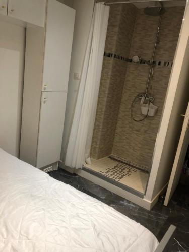 une salle de bain avec une douche avec un rideau de douche dans l'établissement 3 pièces 2 SDB centre de Cannes, à Cannes
