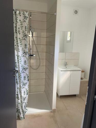 a bathroom with a shower and a sink at Les Chalets du Mancel : Chalet Lulu - Bouleries Jump - 24h du Mans in Parence