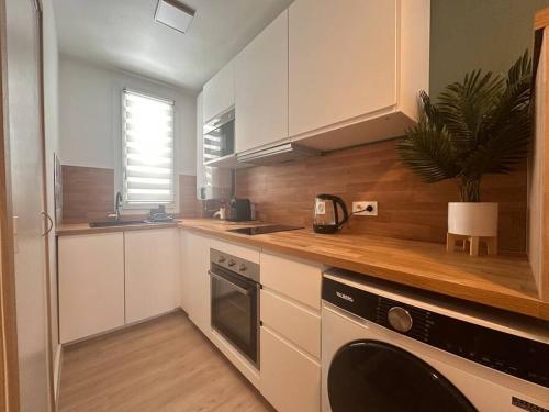 une cuisine avec des armoires blanches et une usine sur le comptoir dans l'établissement Appartement t3 à 20m de la plage, à Argelès-sur-Mer