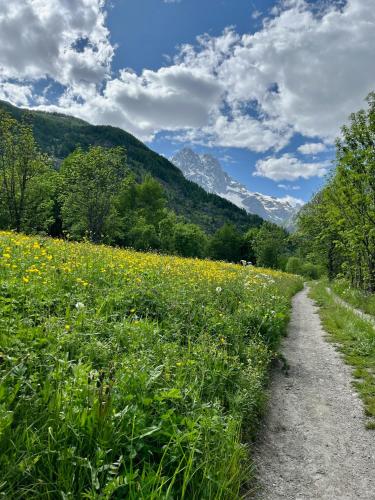 a path through a field of flowers and mountains at Studio station Puy-Saint-Vincent 1700 in Puy-Saint-Vincent
