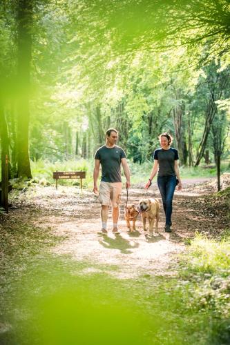 a man and woman walking two dogs on a path at Loughrea Hotel & Spa in Loughrea