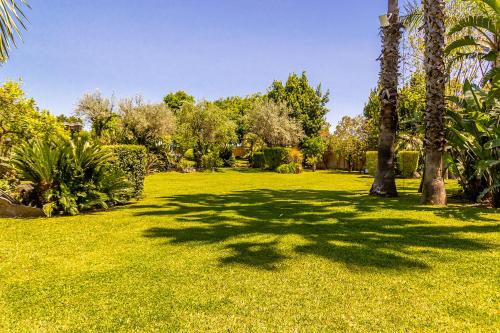 a palm tree casts a shadow on the grass at Villa Gialla in Aci Catena