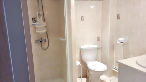 La salle de bains est pourvue d'une douche, de toilettes et d'un lavabo. dans l'établissement Maison d'une chambre avec piscine partagee terrasse amenagee et wifi a Saint Victor, à Saint-Victor
