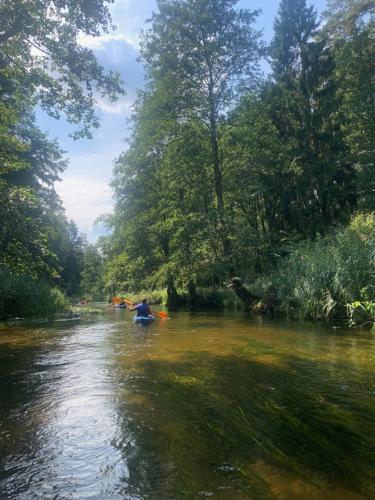 a person in a kayak on a river with trees at Lavender Cottage in Sucha Rzeczka