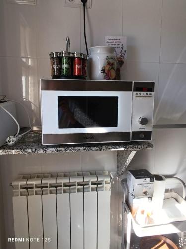 a microwave on a shelf in a kitchen at Apartamento Mirador del Pantano2 in Vinuesa