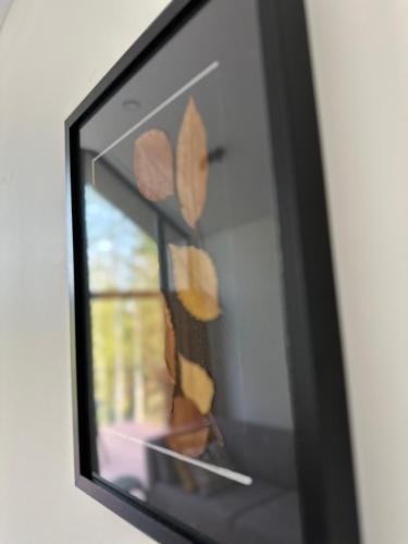 a picture of some leaves on a window at Domki Piwniczna in Piwniczna