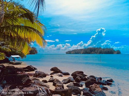a beach with rocks and a palm tree and the ocean at Faré Paloma Moorea in Moorea