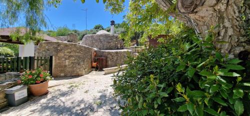 un gran arbusto verde junto a un edificio de piedra en Trullo Grande Noce, en Cisternino