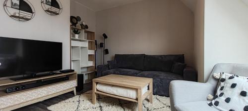 a living room with a couch and a tv at Cocon sous les toits - vue sur les châteaux et le vignoble - proche centre ville - parking gratuit in Sélestat