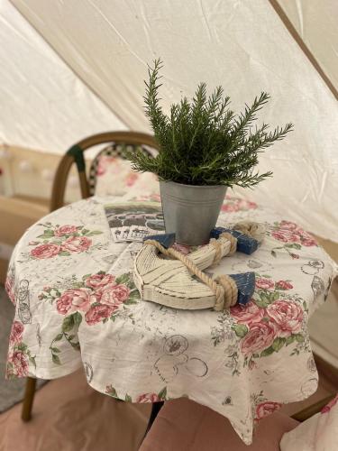 a table with a potted plant on top of it at Glamping Zelt in Templin