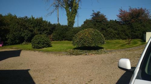 a car parked in a driveway with a bush at Moor House in Kilmuckridge