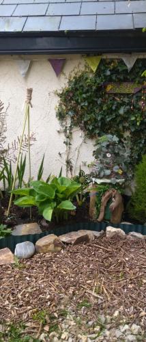a garden with plants on the side of a building at Moor House in Kilmuckridge