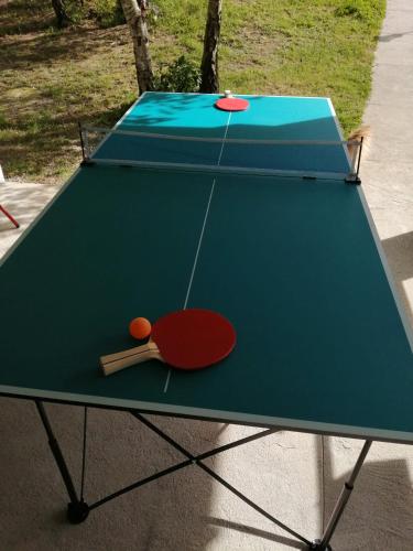 a ping pong table with a ping paddle on it at CHEZ YAYA Bogumiła Szeląg in Zalasowa