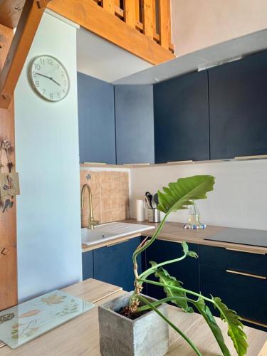 une cuisine avec une horloge sur le mur et une plante dans l'établissement Superbe studio pied des pistes- linge de maison non fourni, à Manigod