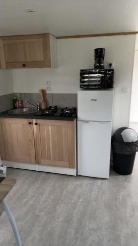 a kitchen with a white refrigerator and a sink at Mobil-home camping 4 étoiles N35 in Fourmies