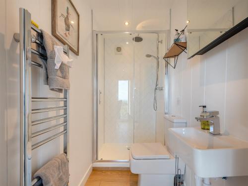 a bathroom with a shower and a sink and a toilet at Galloway Ewe - Uk46819 in Wigtown