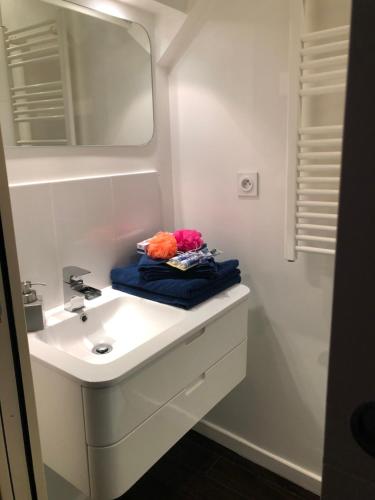 une salle de bain avec un lavabo, un miroir et des serviettes dans l'établissement Saint dénis Appartement 1, au Mans