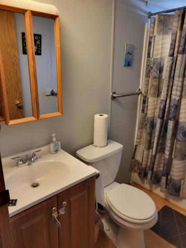 ein Badezimmer mit Toilette, Waschbecken und Spiegel in der Unterkunft Dorothy and Johns Ocean City Md Vacation Home Sleeps 8 - 3 bedrooms 2 full bath in Ocean City
