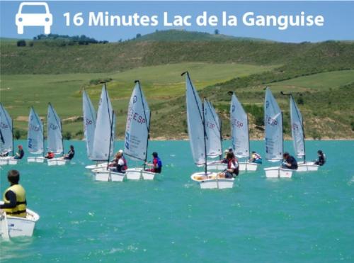 Photo de la galerie de l'établissement Élégance Lauragaise * Wifi * Netflix * Terrasse, à Villefranche-de-Lauragais