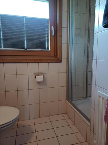 a bathroom with a shower and a toilet and a window at Landhaus Eberler in Mayrhofen