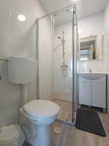 a bathroom with a toilet and a shower and a sink at Casa Talika in Fátima