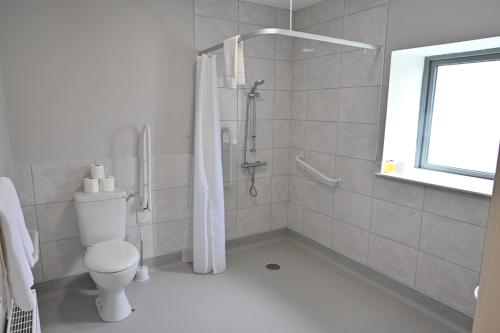 a white bathroom with a shower and a toilet at Upper Yard Borris House in Borris