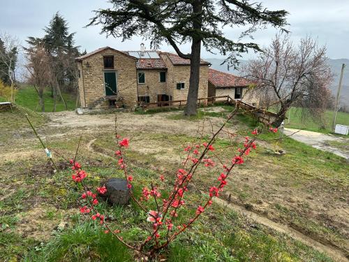 uma casa com um arbusto com flores vermelhas em frente em Monte Cuccolo House B&B em Fontanelice
